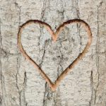 Albero Romanzo