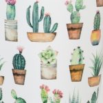 Cacti