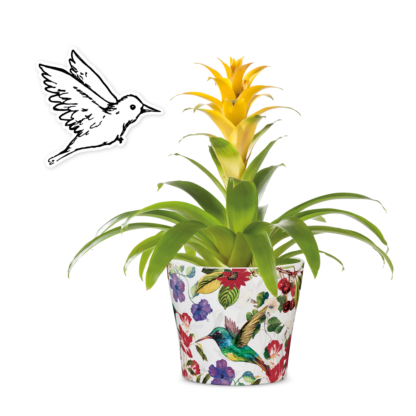 Ceramic cover-pot Tropicana