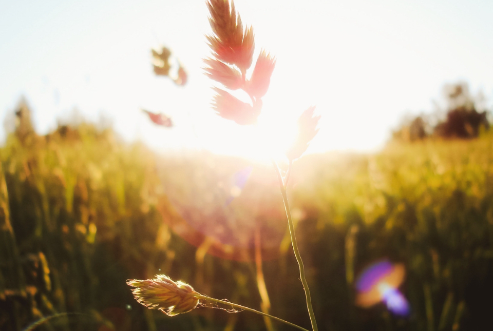 eugene-golovesov-Q1MYZ8Uwfbk-unsplash