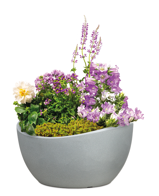 Wave Globe Bowl Jardiniere - Scheurich