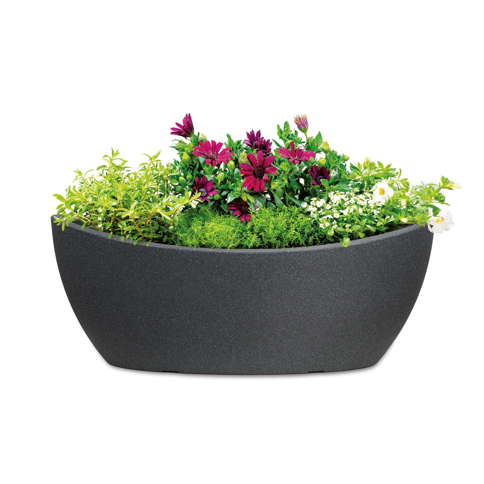 Wave Globe Bowl Jardiniere - Scheurich