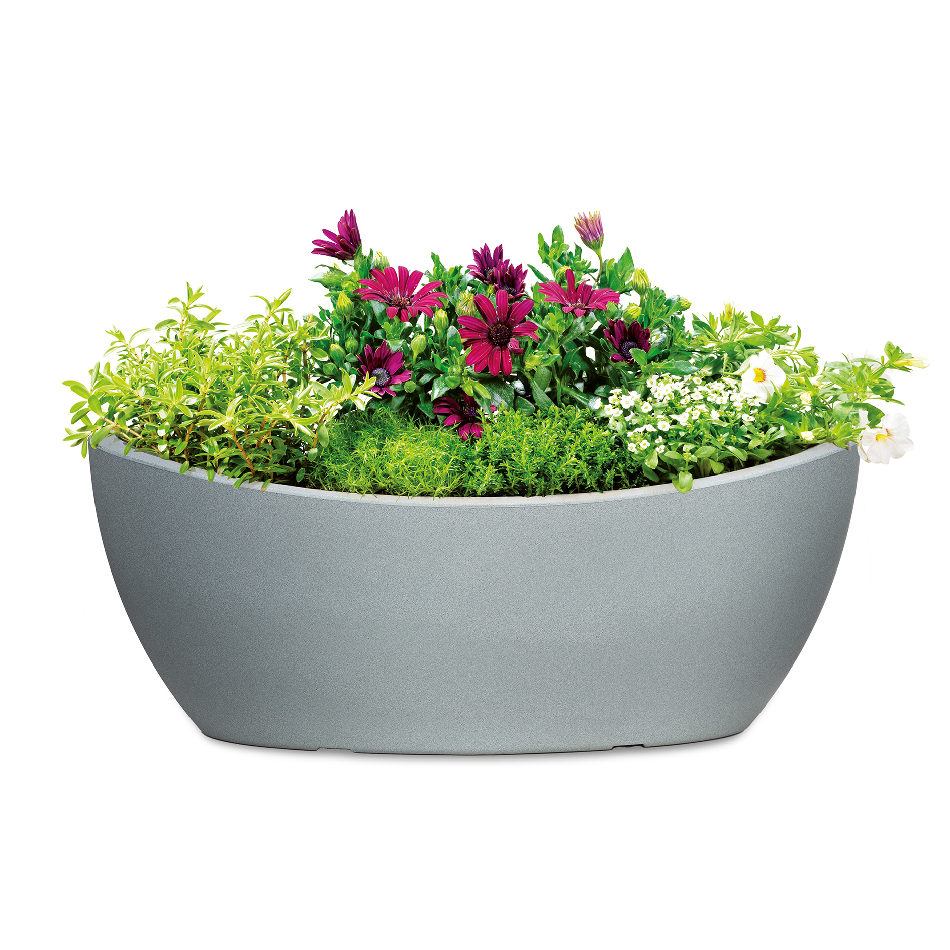 Wave Globe Bowl Jardiniere - Scheurich